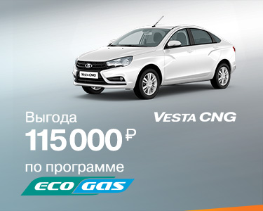 Программа ''EcoGas''