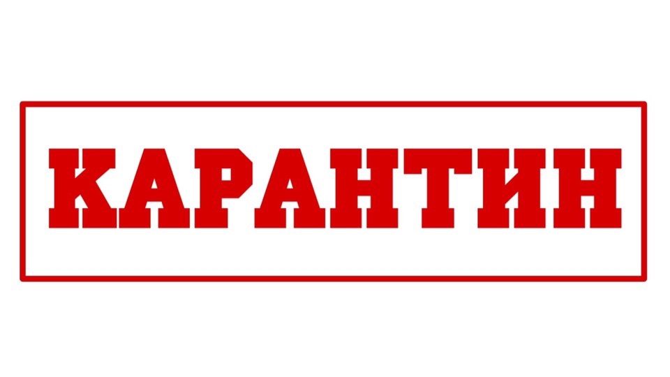 Карантин